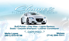 businesscard-businesscards-sample-business-card-perris-menifee-inland-empire-auto-detailing-custom-graphics-greenlinegraphics